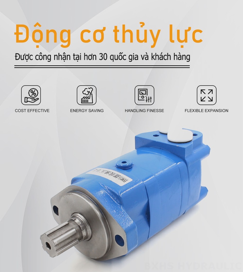 Mô tơ thủy lực Cycloid BM3 100 cc/vòng 50 L/phút Mô tơ thủy lực